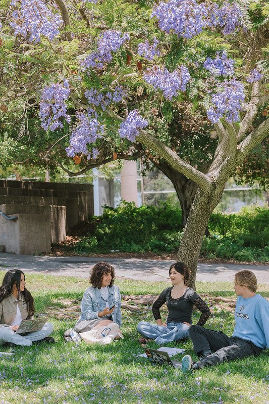 Students spending time together on campus